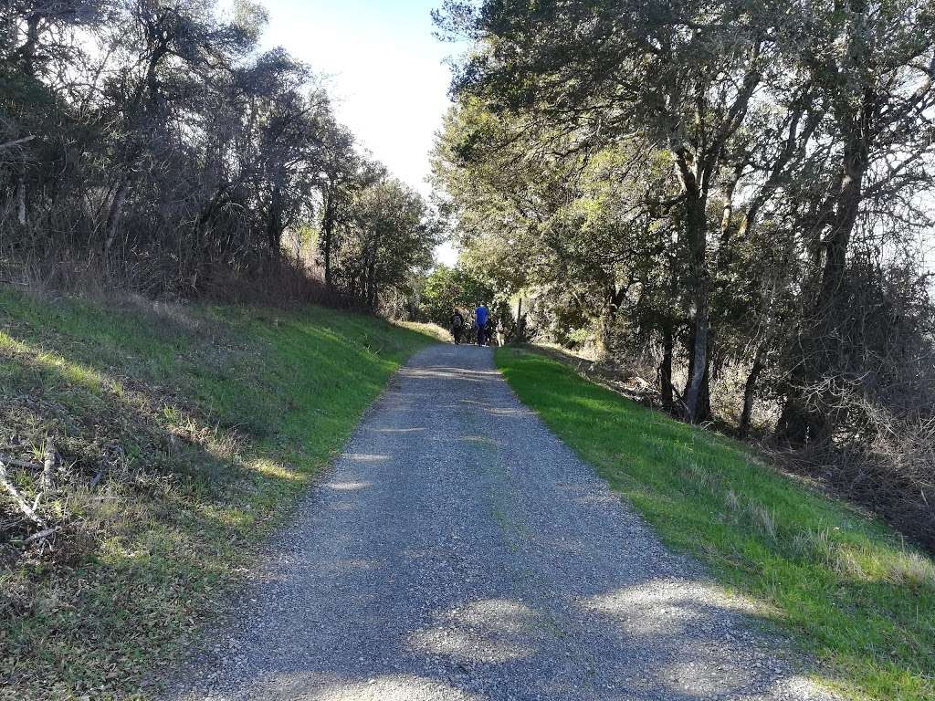 Monte Bello Open Space Preserve Parking Lot | 4301 Page Mill Rd, Los Altos, CA 94022, USA