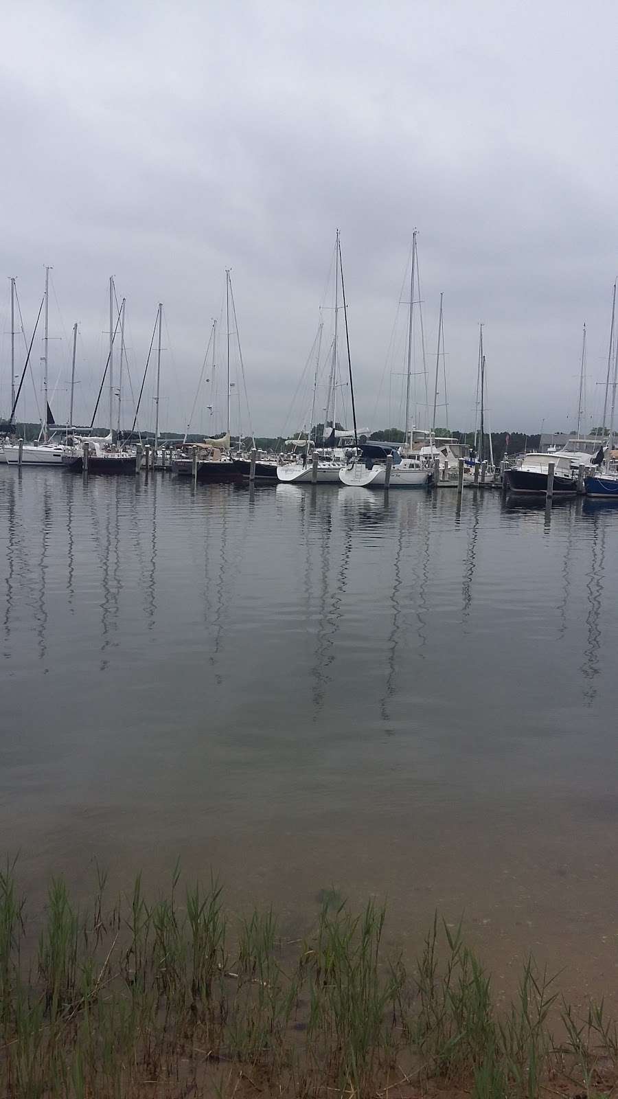 Oxford Marina & Boatyard | A Safe Harbor Marina | 402 Strand, Oxford, MD 21654, USA | Phone: (410) 226-5101