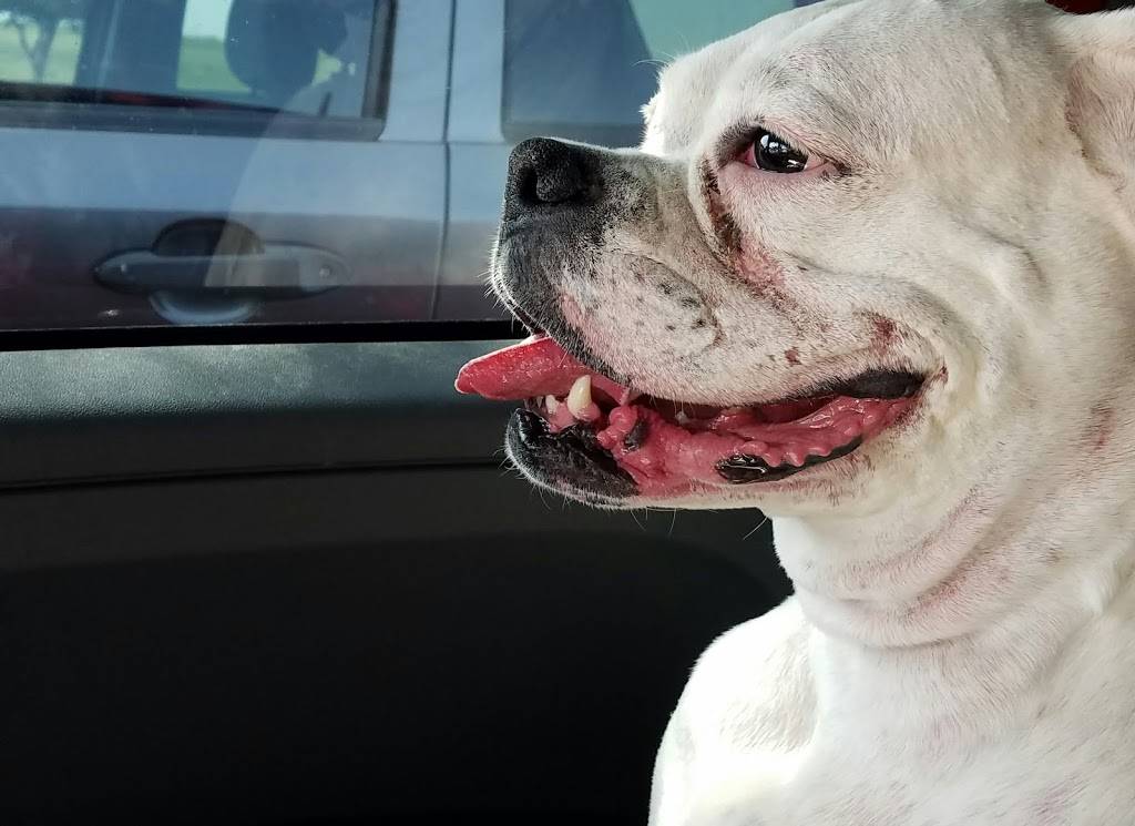 Texas Coalition for Animal Protection | 2400 Westport Pkwy #100, Fort Worth, TX 76177, USA | Phone: (817) 837-4500