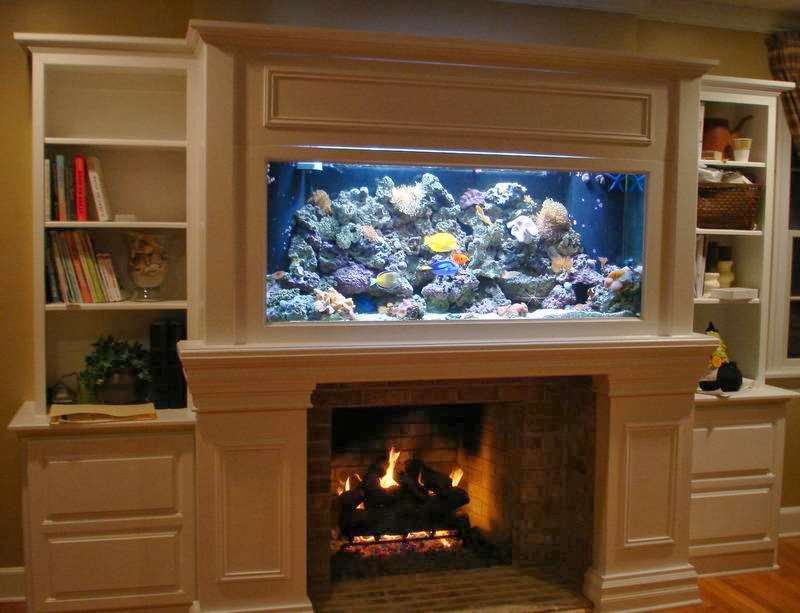 Tropical Reef Aquarium Maintenance | 209 Glenn Ave, Egg Harbor Township, NJ 08234, USA | Phone: (609) 457-6228