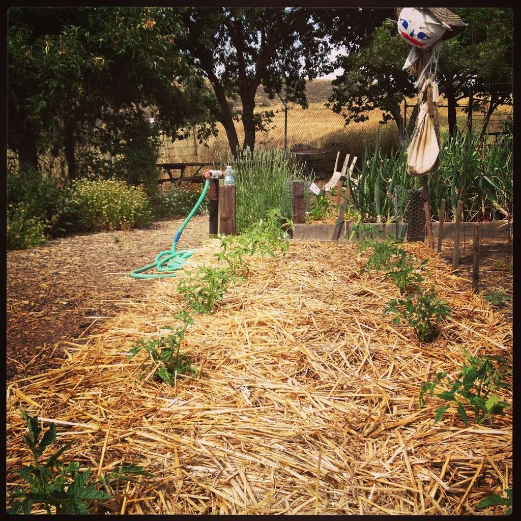 Community garden | San Jose, CA 95139, USA