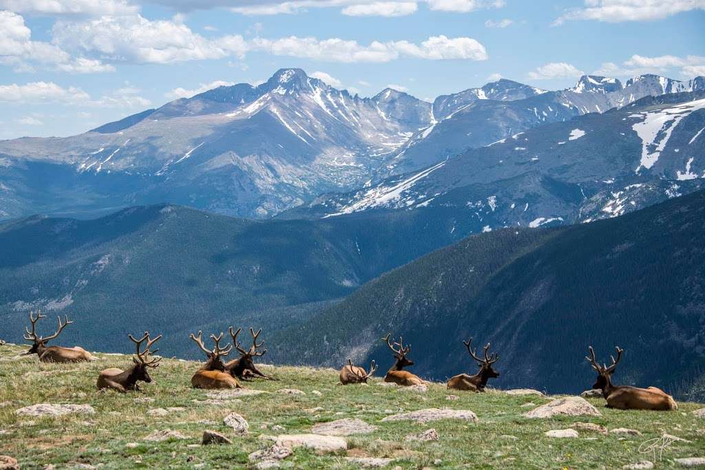 Rocky Mountain National Park | Colorado | Phone: (970) 586-1206