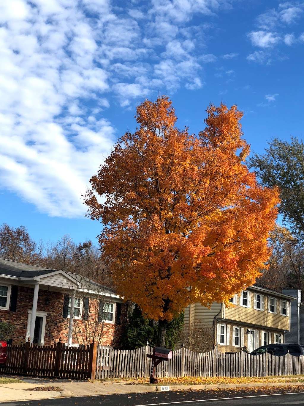 Greenwood Farm Park | Dale City, VA 22193, USA