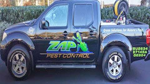 Zap Pest Control LLC | 1176 Middletown Rd, Media, PA 19063 | Phone: (610) 565-4151