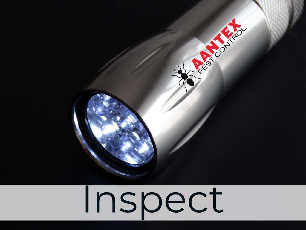 Aantex Pest Control | 420 Beatrice Ct Suite E, Brentwood, CA 94513, USA | Phone: (925) 240-5100