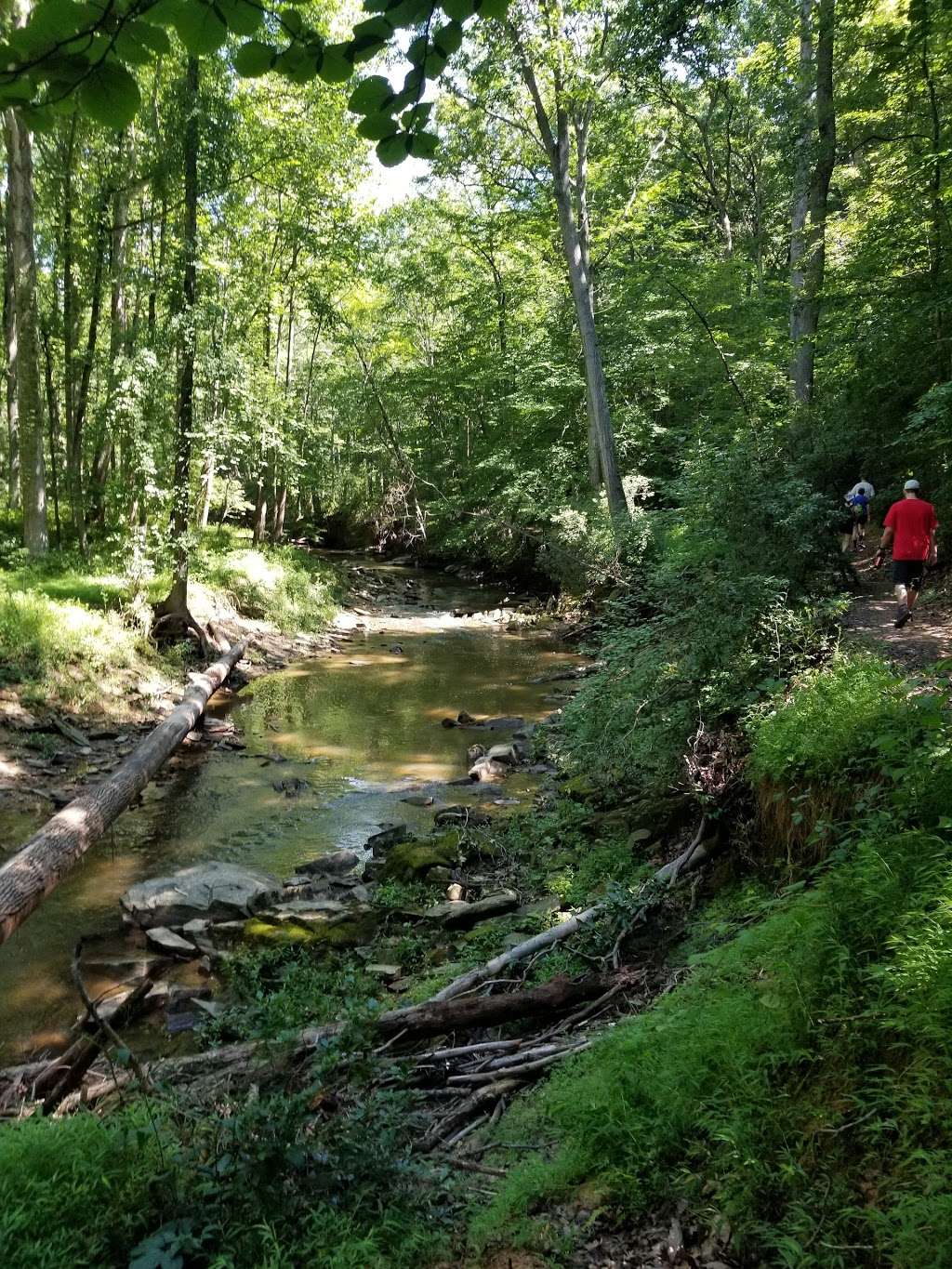 Cabin John Trail head | Creek, Bethesda, MD 20817, USA