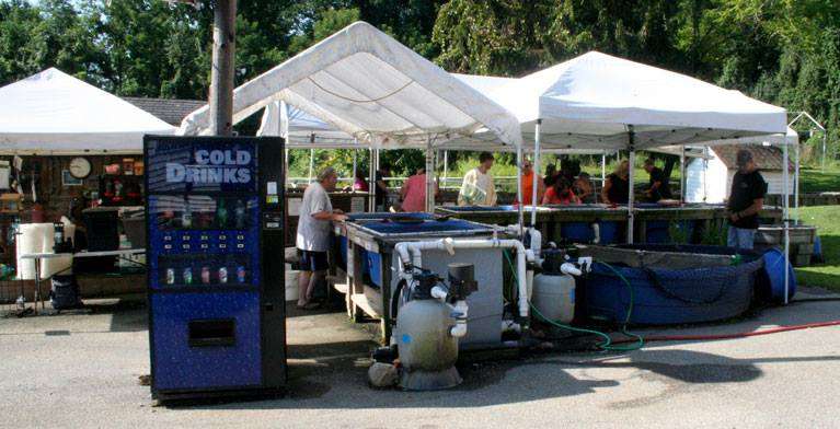 Hanover Koi Farms | 1332 Moulstown Rd N, Hanover, PA 17331, USA | Phone: (717) 637-1111