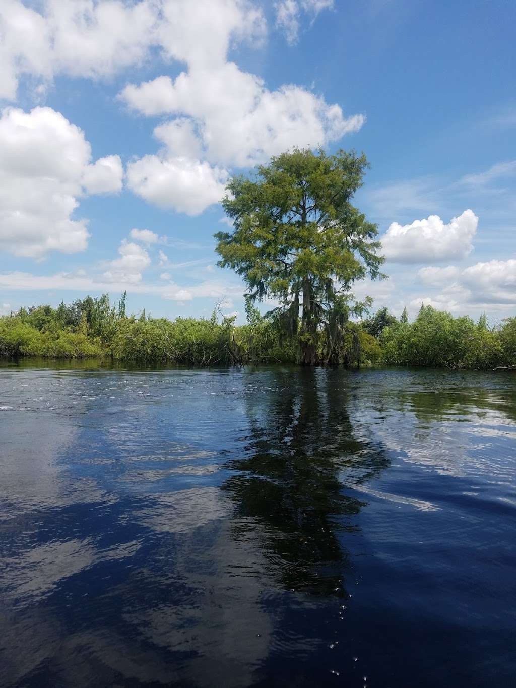 Upper St. Johns River Marsh Wildlife Management Area | Melbourne, FL 32904, USA | Phone: (386) 329-4404