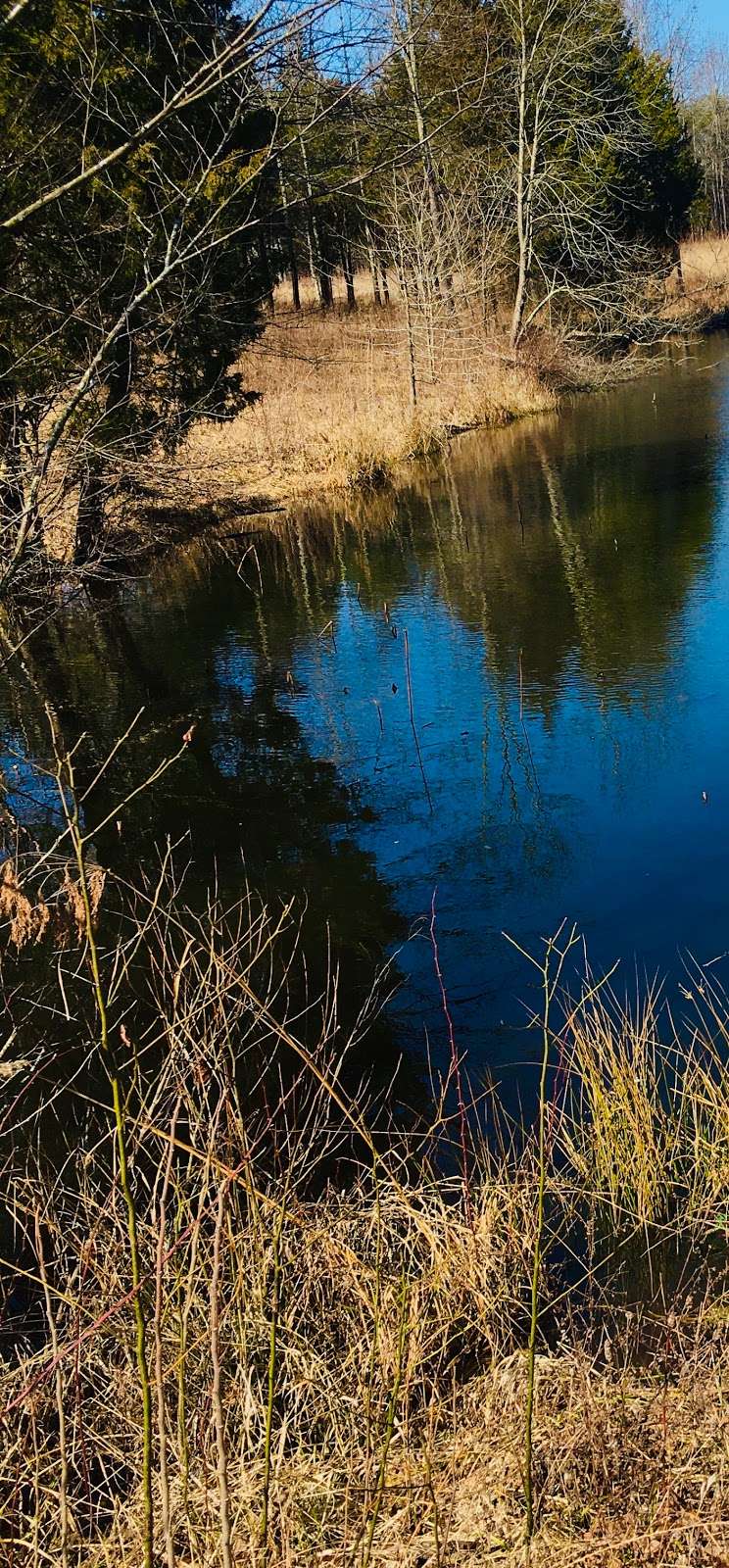 Maines Pond, Hoosier National Forest | Freetown, IN 47235, USA | Phone: (812) 275-5987