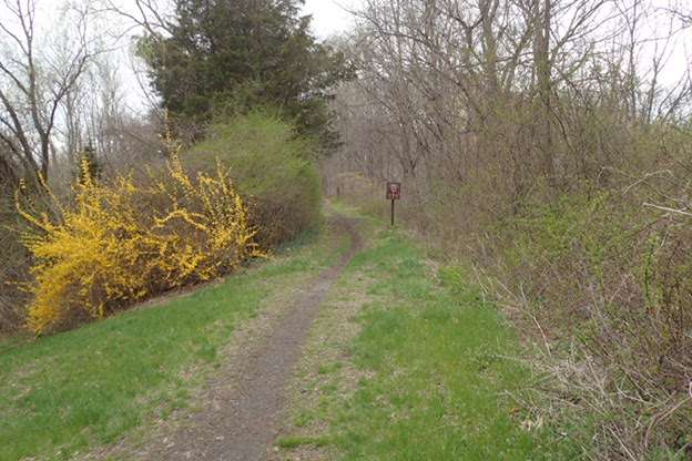 Footbridge Park | Paulinskill Valley Trail, Blairstown, NJ 07825, USA