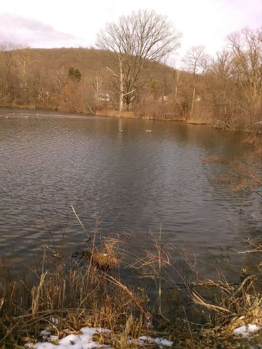 Bernharts Dam | Muhlenberg Township, PA 19605, USA