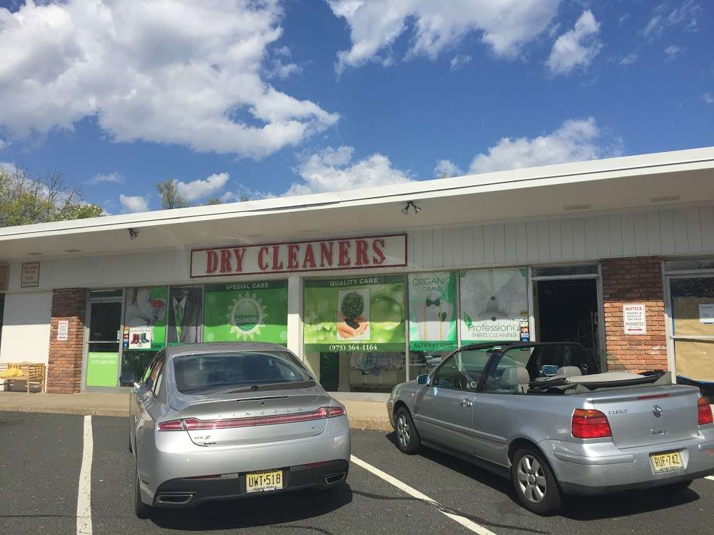 Rosies Dry Cleaning & Alterations | 178 Eagle Rock Ave #5, Roseland, NJ 07068, USA | Phone: (973) 364-1164