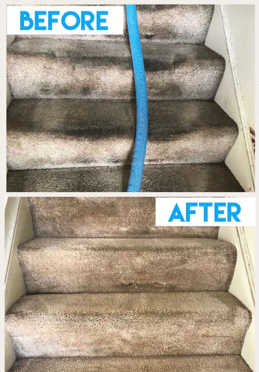 Salisbury Rug & Carpet Cleaning | 170 Eagle Dr, Salisbury, NC 28144, USA | Phone: (704) 603-7059