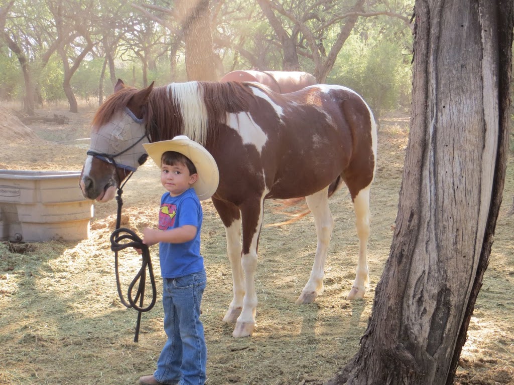 Houstons Horseback Riding | 12801 E Speedway Blvd, Tucson, AZ 85748 | Phone: (520) 298-7450