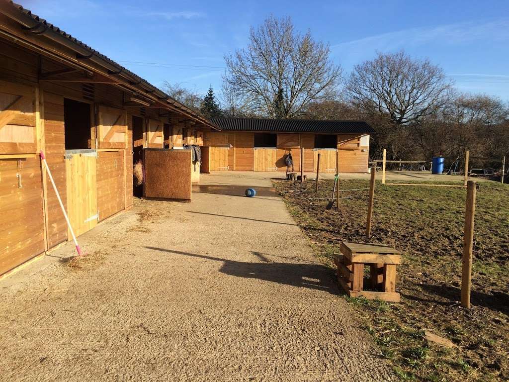 Willow Stables - Equestrian and Leisure | Lippitts Hill, High Beach, Waltham Abbey, Waltham Abbey, Loughton IG10 4AL, UK | Phone: 07816 847541