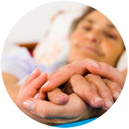 Elmes Homecare | 73 Barnfield Wood Rd, Beckenham BR3 6ST, UK | Phone: 0800 009 6926