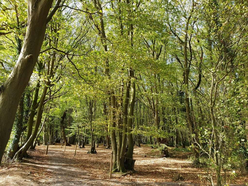 Heartwood Forest | Sandridge, St Albans AL4 9DQ, UK