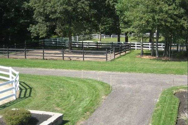 Wolf Rock Farm | 163 Center St, Plympton, MA 02367 | Phone: (508) 591-3218