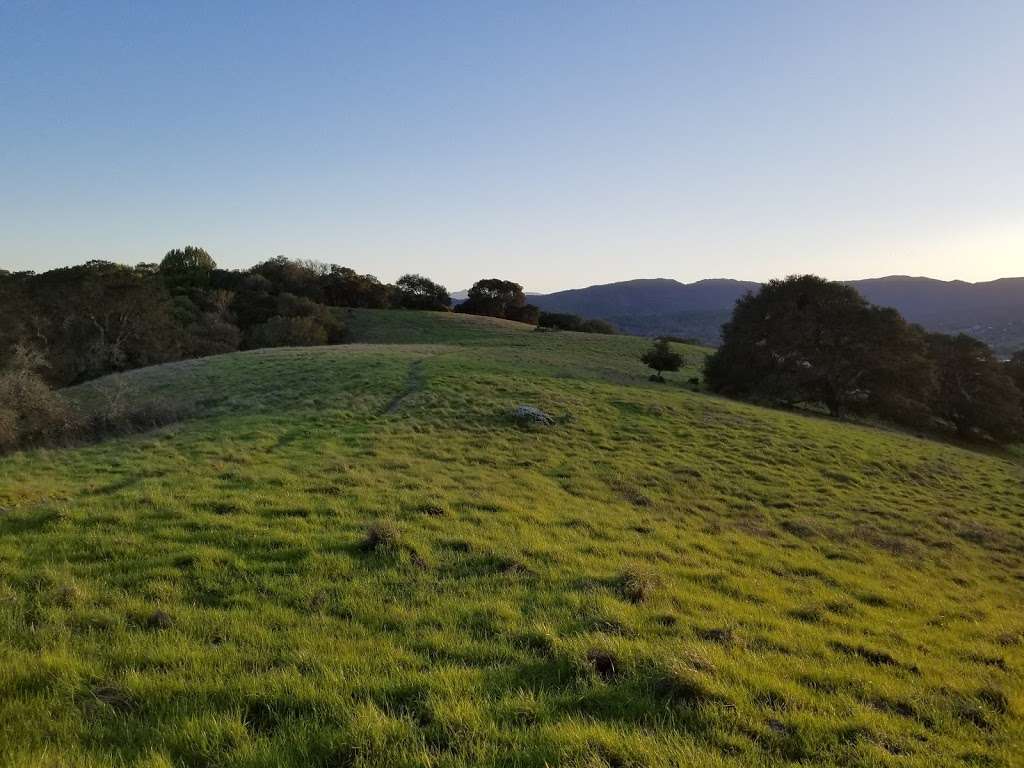 Deer Island Open Space | 320 Deer Island Ln, Novato, CA 94945, USA