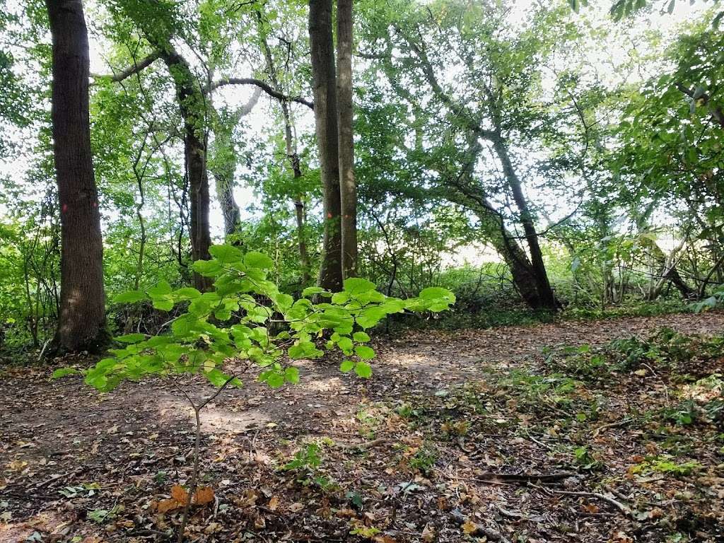 Garnetts Woods Parking | Unnamed Road, Dunmow CM6 1NG, UK