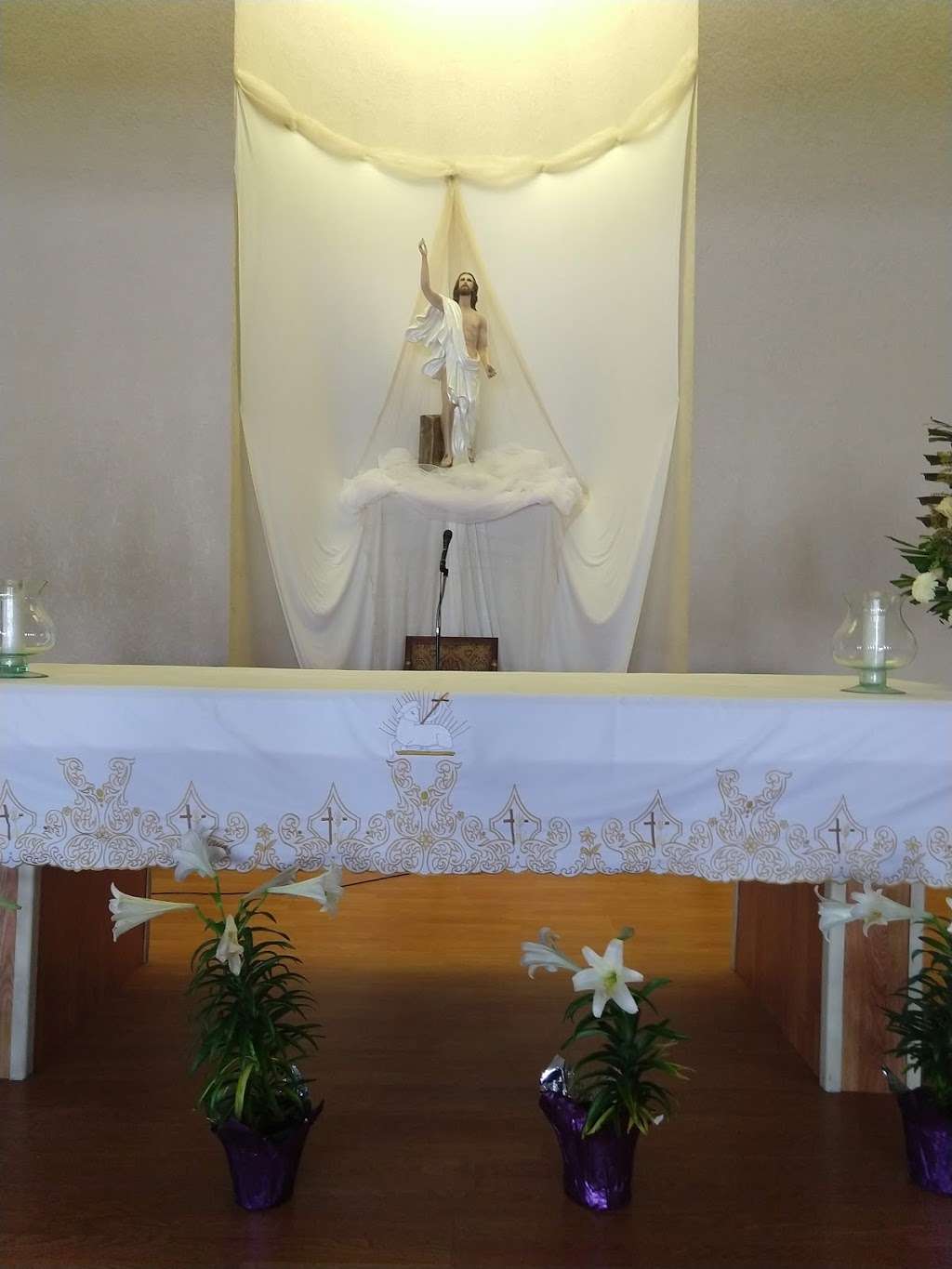 Nuestra Señora de Loreto | Calle 19 962, Libertad, 22400 Tijuana, B.C., Mexico | Phone: 664 682 8240