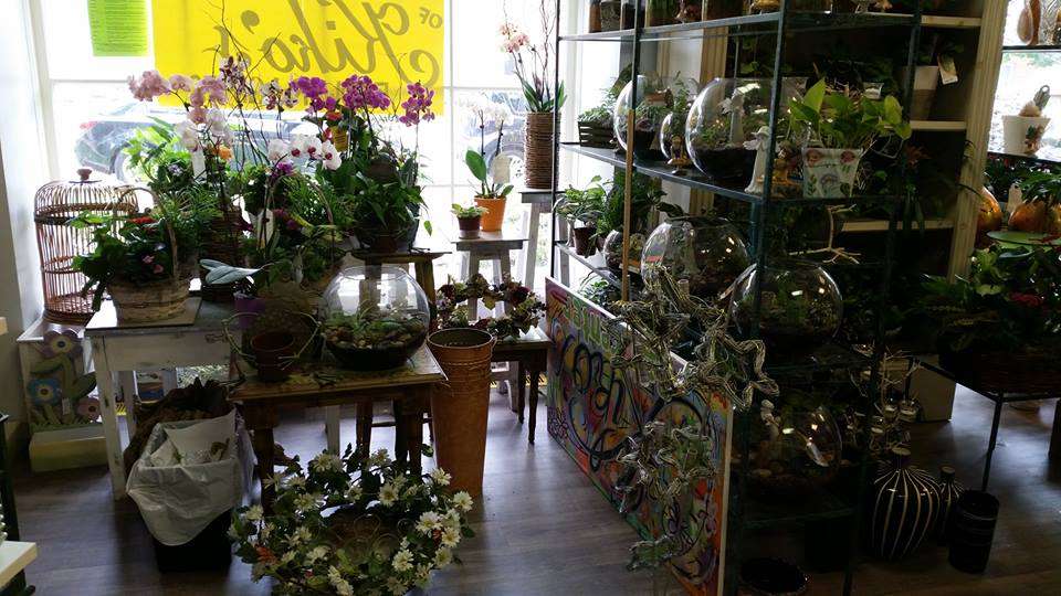 Kikos Flower & Gifts | 650 Busse Hwy, Park Ridge, IL 60068, USA | Phone: (847) 696-4226