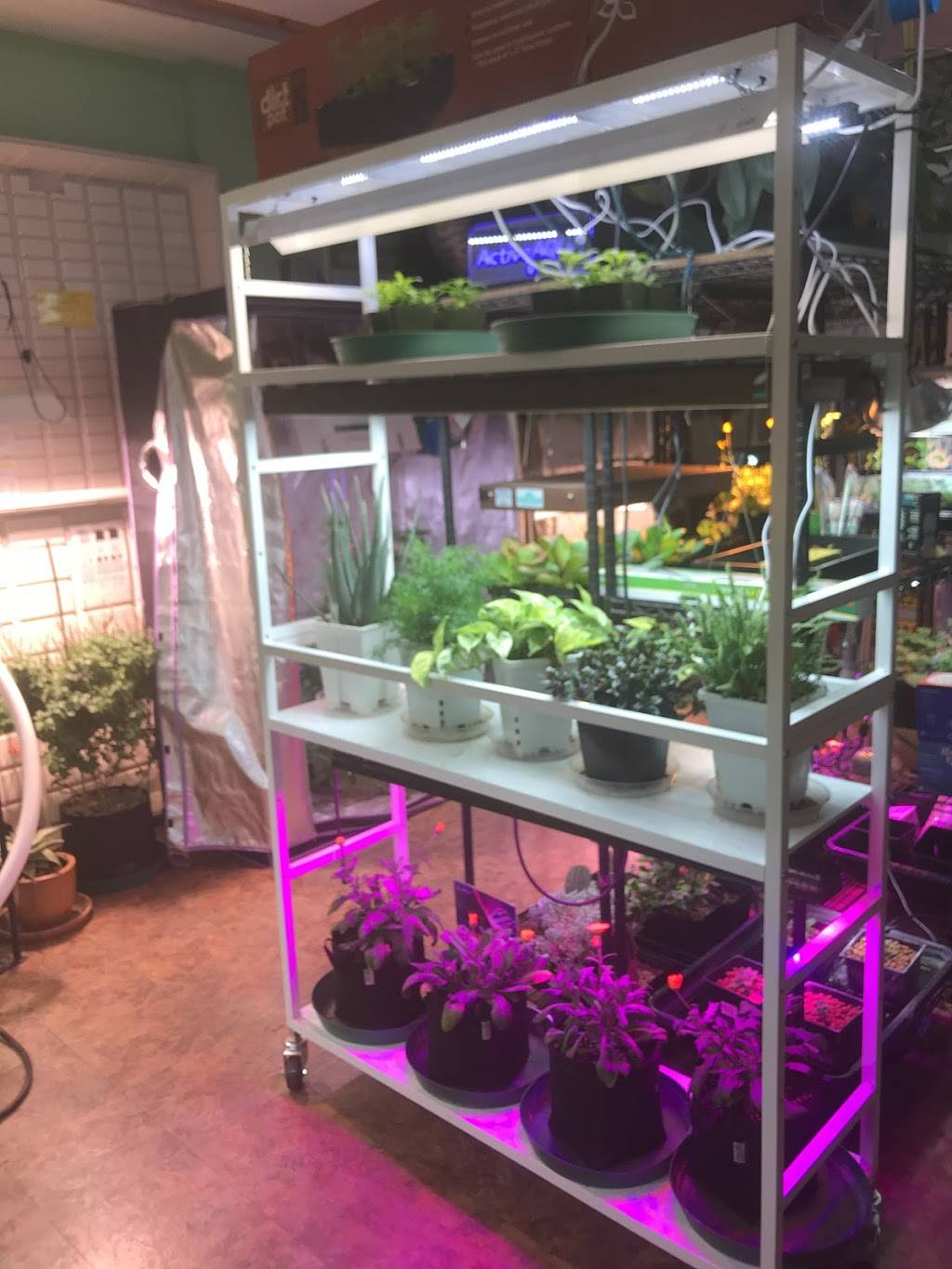 AHL Garden Supply | 1051 San Mateo Blvd SE, Albuquerque, NM 87108, USA | Phone: (505) 255-3677