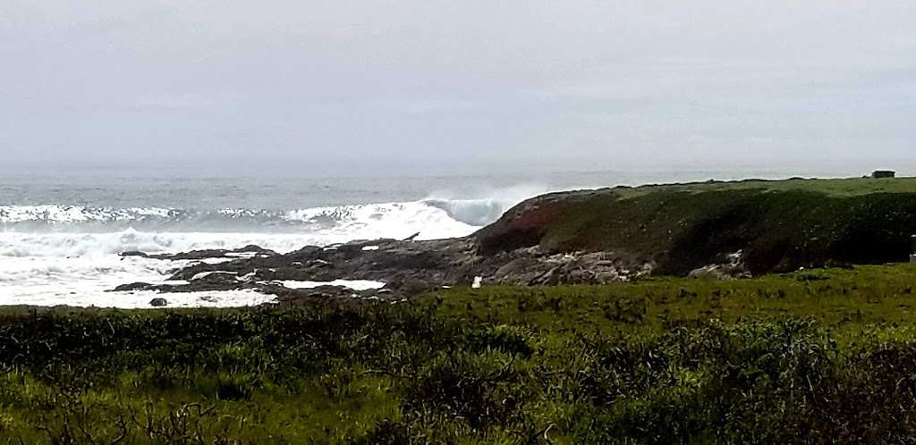 Bodega Marine Reserve | 2099 Westside Road, Bodega Bay, CA 94923, USA | Phone: (707) 875-2021