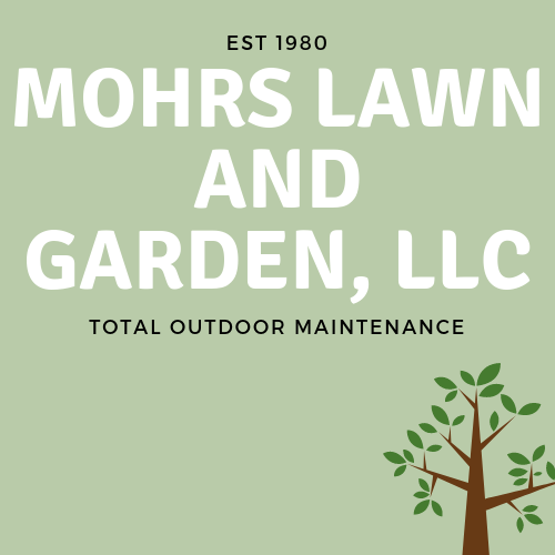 Mohrs Lawn & Garden LLC | 10280 N Pumpkinvine Rd, Fountaintown, IN 46130 | Phone: (317) 861-5815