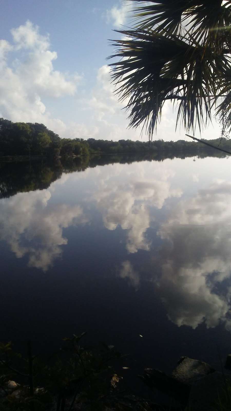 Otter Park North | Pioneer Trail, New Smyrna Beach, FL 32168, USA | Phone: (386) 424-2175