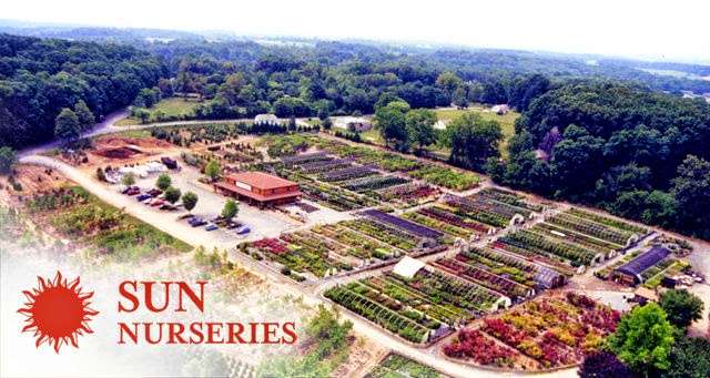 Sun Nurseries | 14790 Bushy Park Rd, Woodbine, MD 21797, USA | Phone: (410) 442-2090