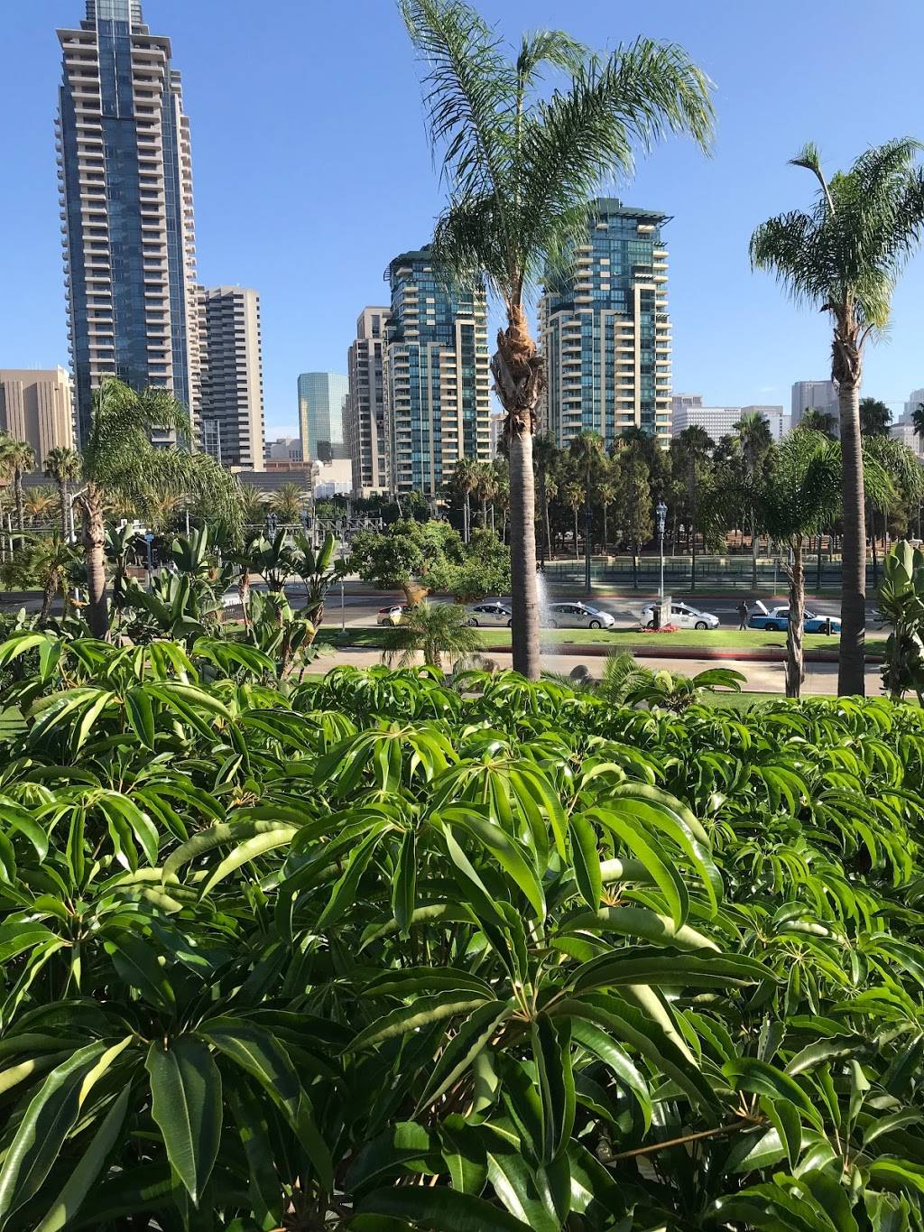 JORGE GONZALEZ DBA SAN DIEGO LEISURE // MEXICO GREEN CARD | 374 East H Street Suite A PMB 231, Chula Vista, CA 91910, USA | Phone: (619) 512-7537