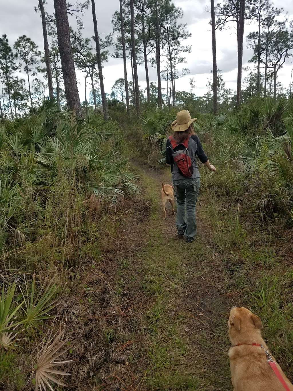 J.W. Corbett Wildlife Management Area | 11835 Seminole Pratt Whitney Rd, West Palm Beach, FL 33412, USA | Phone: (561) 625-5122