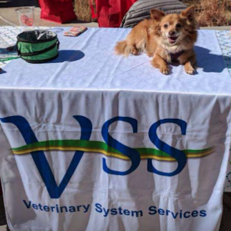 Veterinary System Services | 4813 S Swadley St, Morrison, CO 80465, USA | Phone: (303) 466-2270