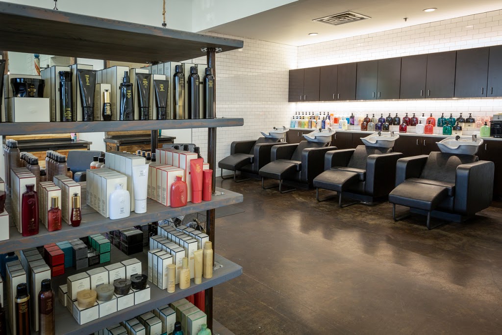 David Ryan Salon | 4151 Cross Timbers Rd, Flower Mound, TX 75028, USA | Phone: (972) 691-0022