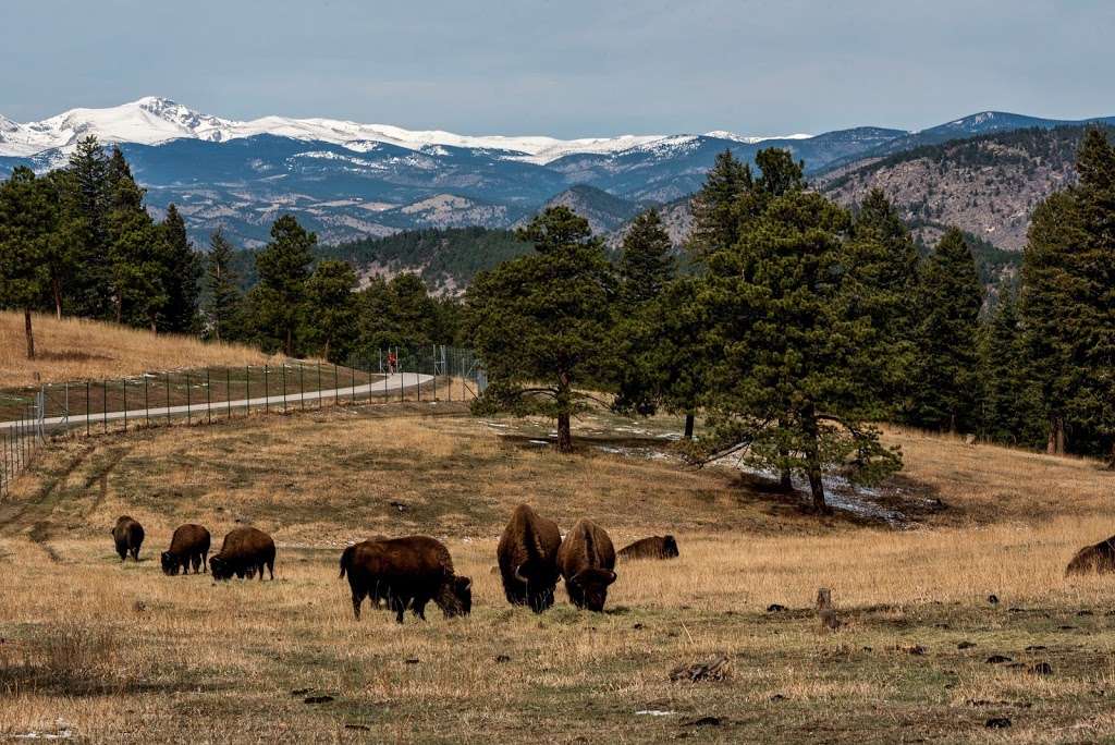 Buffalo Overlook | I-70 Exit 254, Golden, CO 80401, USA