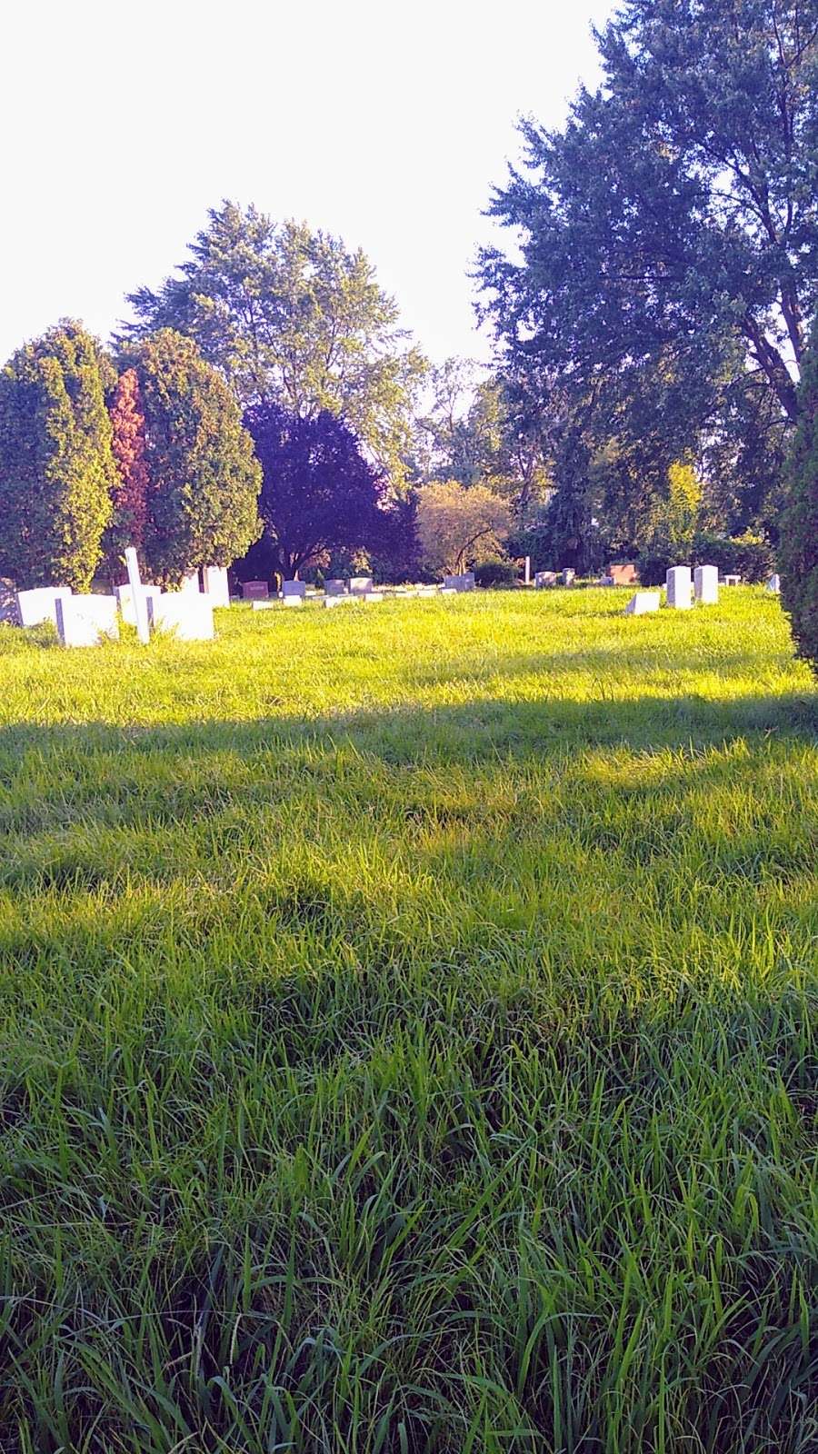 Har Jehuda Cemetery | 8400 Lansdowne Ave, Upper Darby, PA 19082, USA | Phone: (610) 789-2104