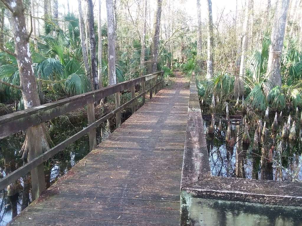 Marshall Swamp Trailhead | 8282 SE Hwy 314, Ocala, FL 34470, USA | Phone: (352) 671-8560