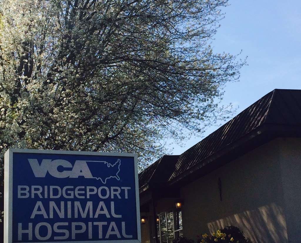 VCA Bridgeport Animal Hospital | 1251 Ranck Mill Rd, Lancaster, PA 17602, USA | Phone: (717) 393-9074