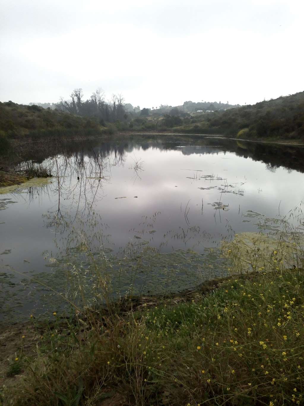 Abeja Pond | Vista, CA 92084, USA