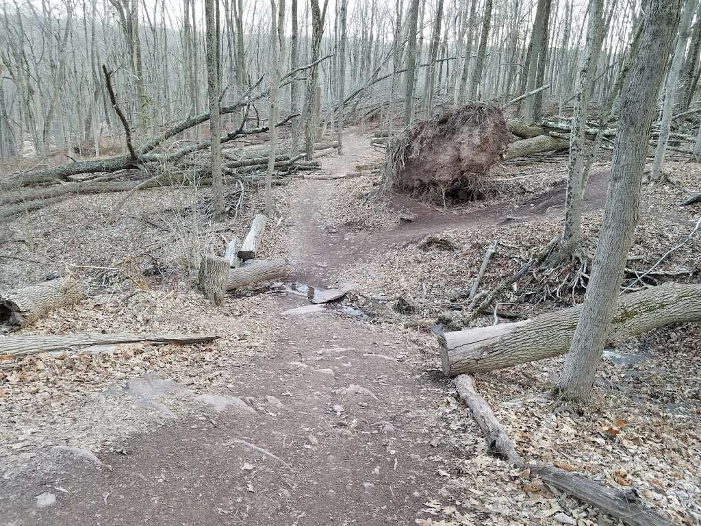 Ralph Stover/High Rocks Vista Parking Area | Pipersville, PA 18947, USA