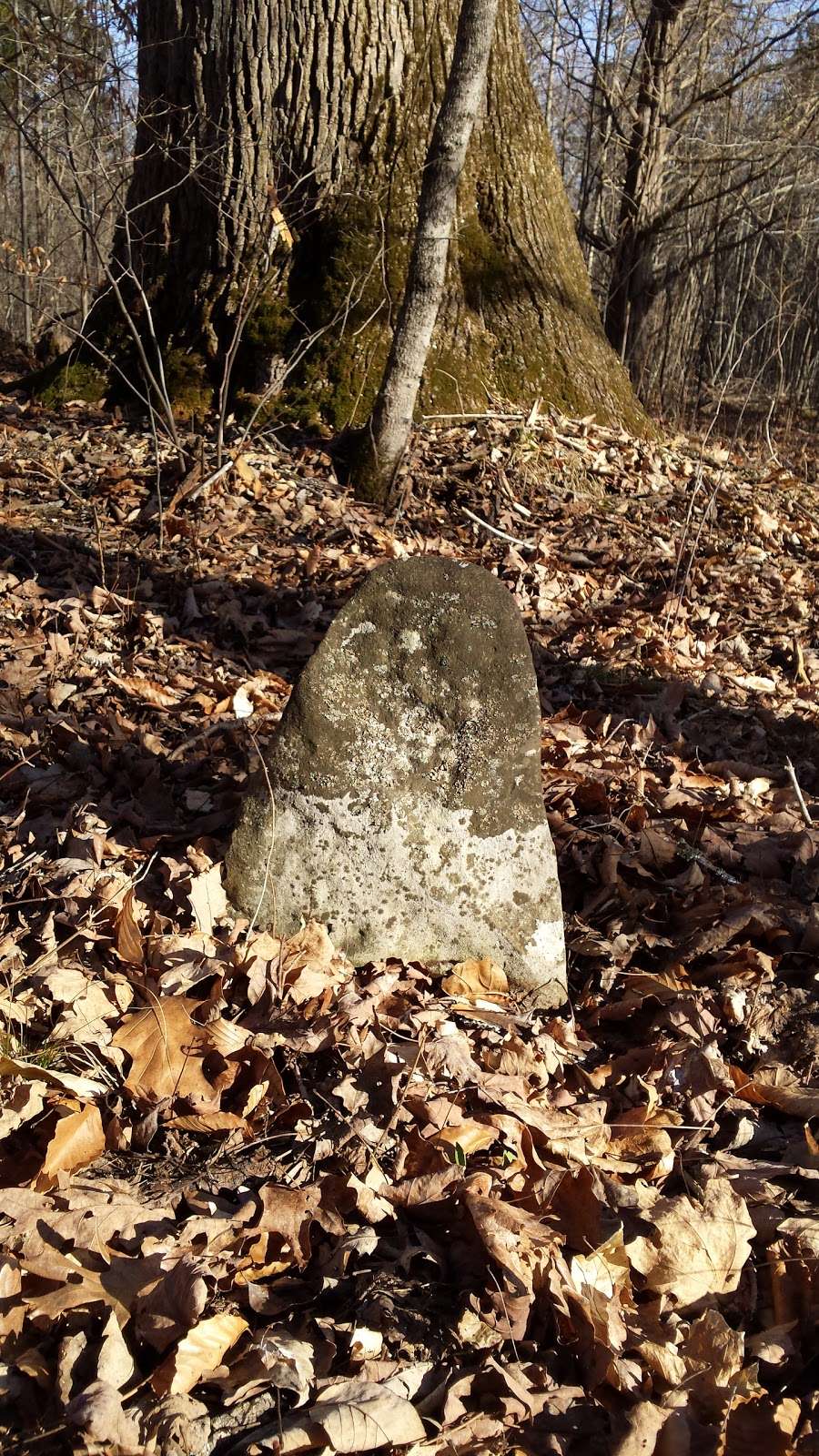 Primitive Cemetery | Bloomington, IN 47403, USA