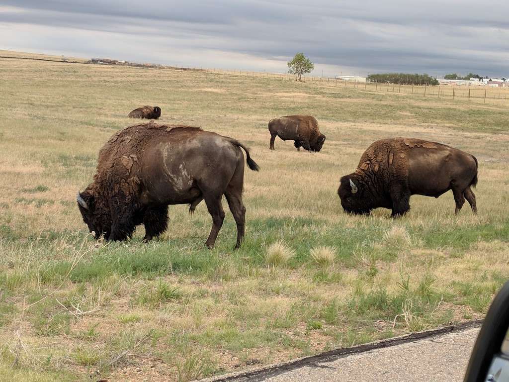 Prairie Gateway Open Space | Prairie Pkwy, Denver, CO 80239 | Phone: (303) 289-3763