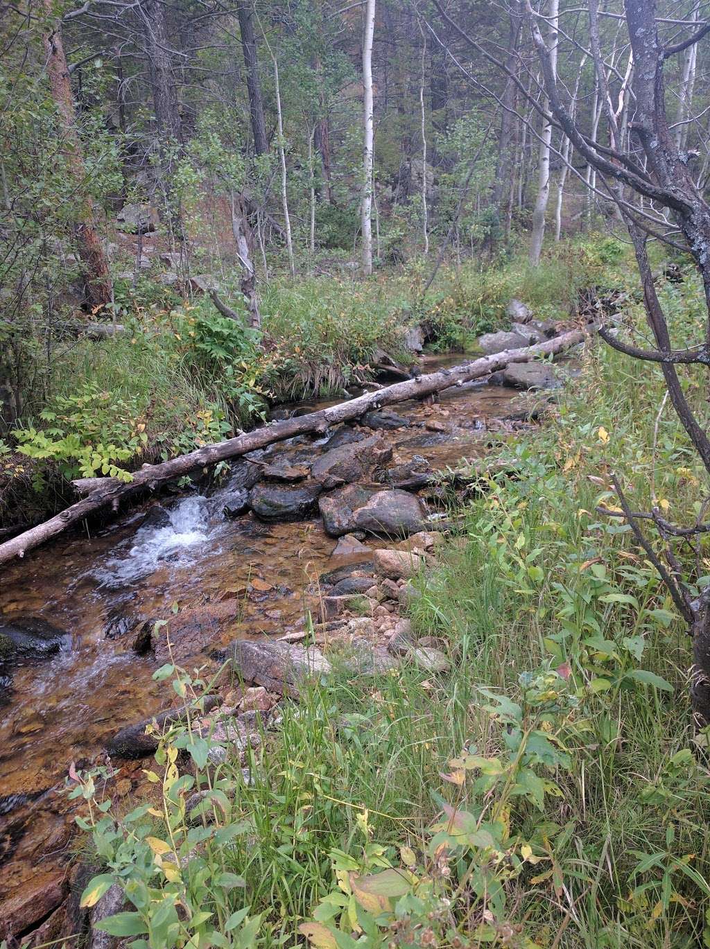 St. Vrain Mountain Trailhead | Forest Rd 1161, Lyons, CO 80540