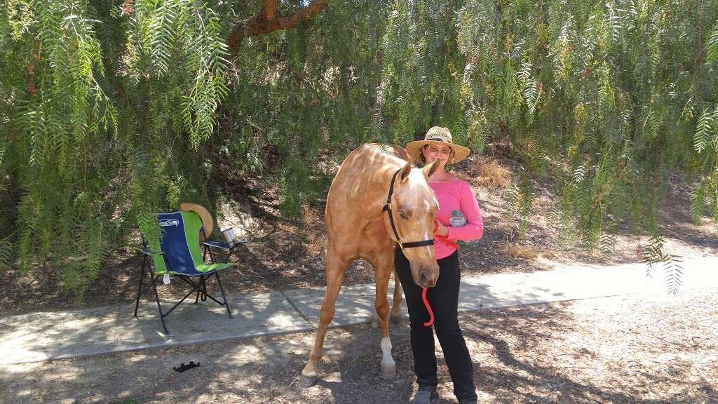 Arroyo Simi Equestrian Center | 2900 Royal Ave, Simi Valley, CA 93065, USA | Phone: (805) 584-4400