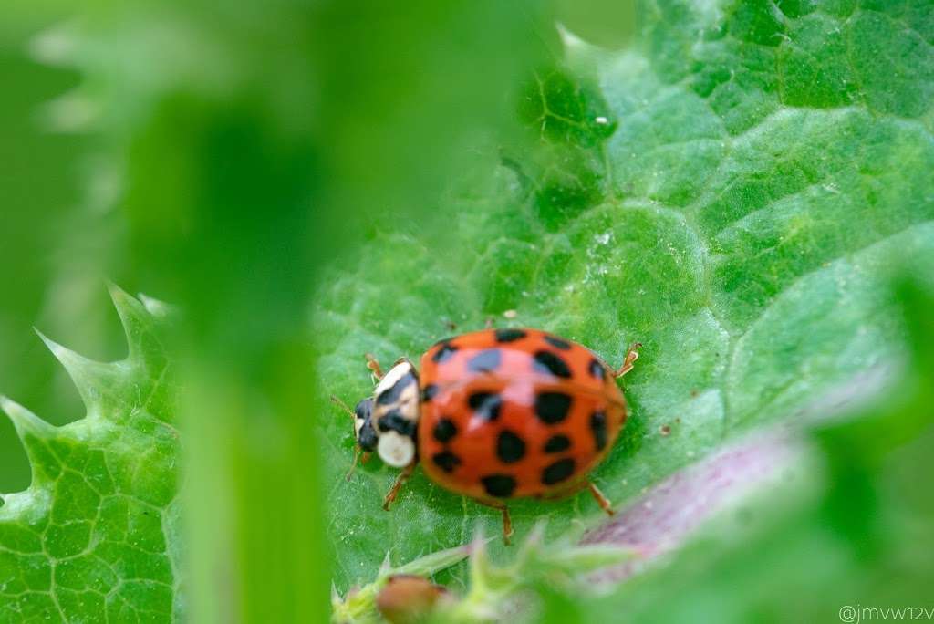 Universal City Veterans Park | 737 E Aviation Blvd, Universal City, TX 78148, USA | Phone: (210) 659-0333 Universal City Veterans Park | 737 E Aviation Blvd, Universal City, TX 78148, USA | Phone: (210) 659-0333