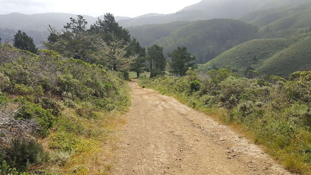 Pedro Point Headlands | Old Pacific Coast Highway Trail, Pacifica, CA 94044, USA | Phone: (650) 270-0433