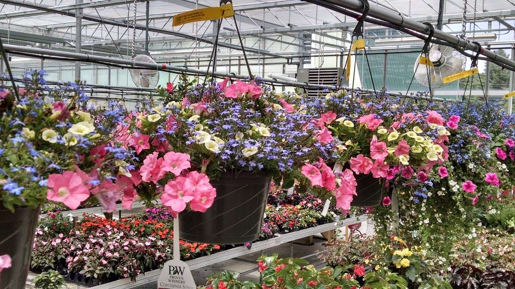 Lake Street Garden Center llc | 37 Lake St, Salem, NH 03079, USA | Phone: (603) 893-5858