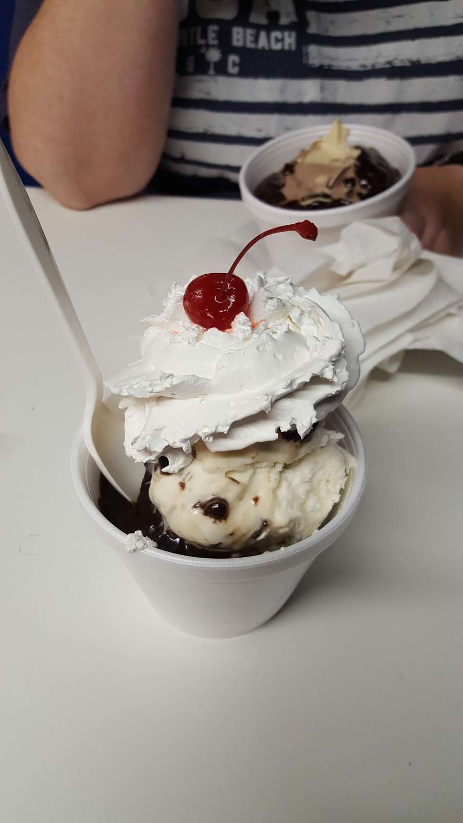 Polar Cub Ice Cream | 380 US-22, Whitehouse Station, NJ 08889, USA | Phone: (908) 534-4401