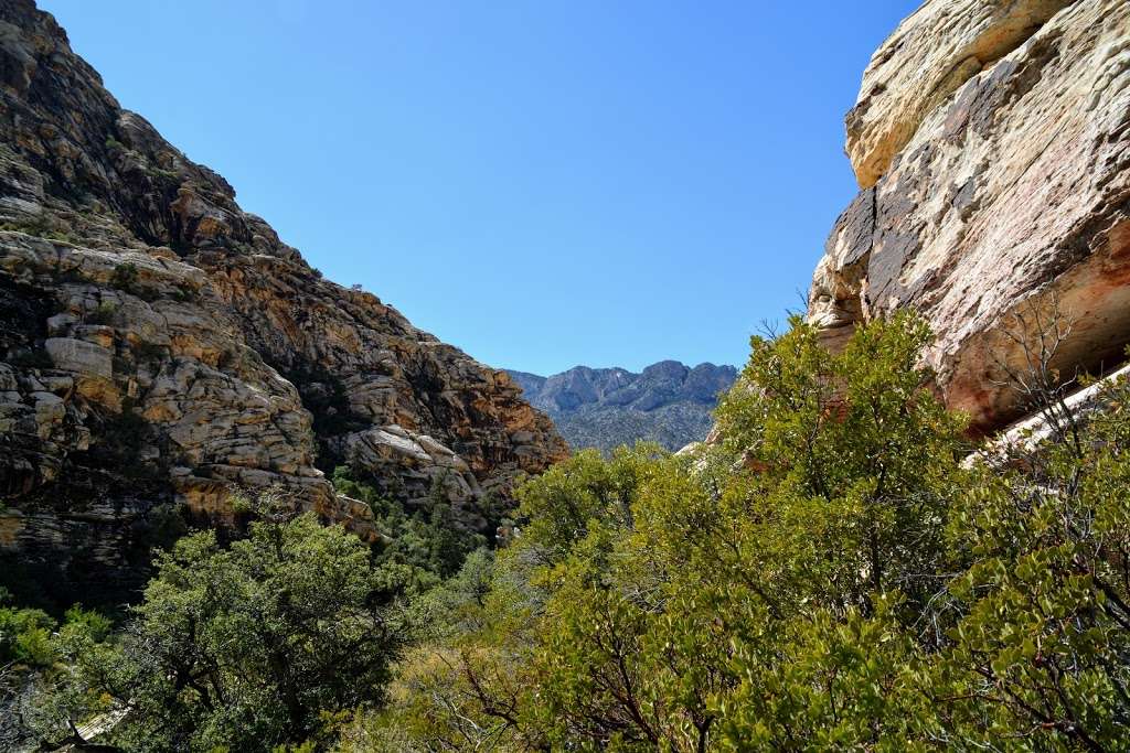 La Madre Spring Trailhead | Rocky Gap Rd, Las Vegas, NV 89161, USA